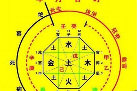 八字喜土的建议|八字喜土的是什么命（八字喜土的建议适合什么工作）